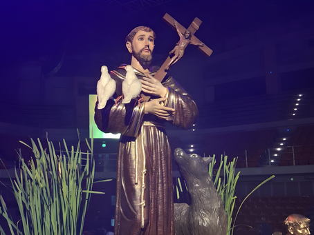 Seeing Through the Lens of St. Francis