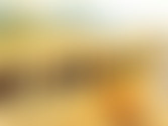 A Glimpse of the Future