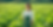 f366fe72824a11ef9eb966262e4c20b1.png