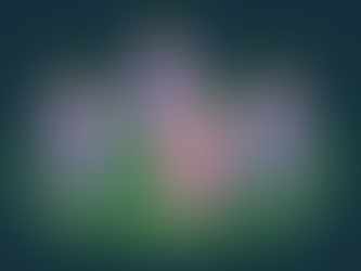 The Grace of Waiting