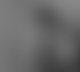 Thoughts to Live by | Solemnity of St. Joseph, Husband of Mary