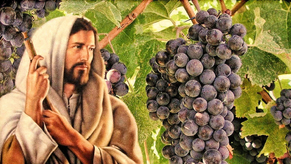 Today's Thoughts to Live by | Wednesday of 5th Week of Easter