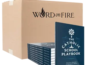 Transforming Catholic Schools: Learn from the Catholic School Playbook