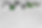Landing Page Banner (4).png