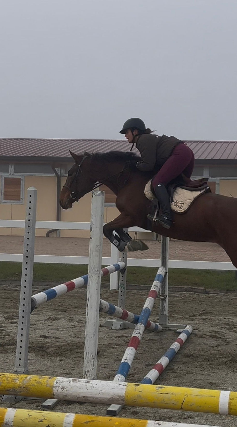 Miniatura: Junior Carthago  Sella italiano 2022