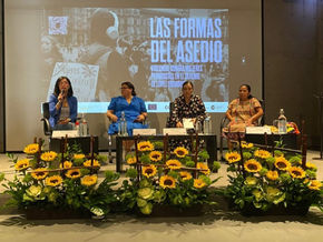 ANA LUZ SOLÍS: CUANDO UNA PERIODISTA NECESITÓ LA SOLIDARIDAD DE SU COMPAÑERA Y ENCONTRÓ SILENCIO
