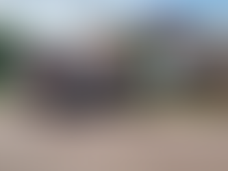 Brigadistas contra el dengue emprenderán visitas a domicilios de Celaya y otros 5 municipios