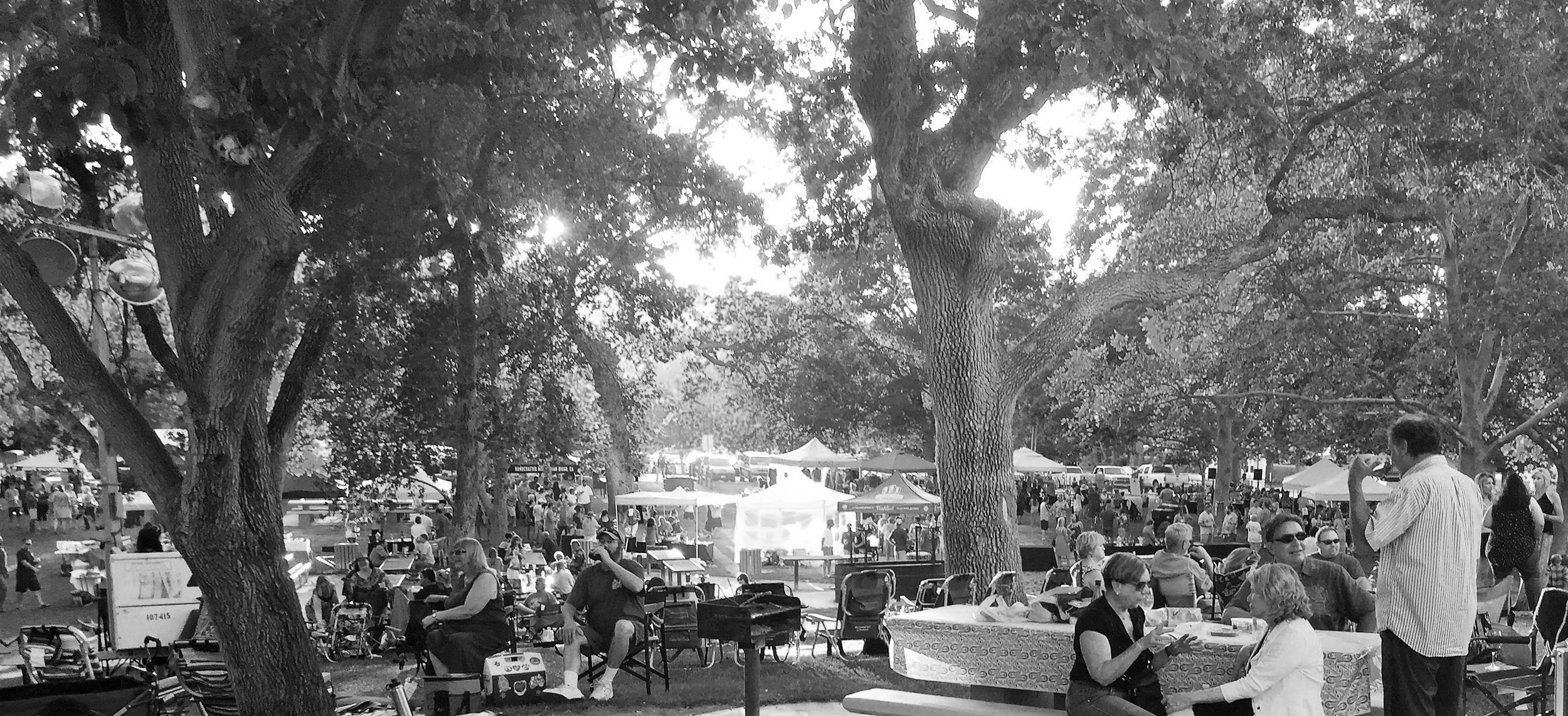 Wine, Beer, Spirit Tasting Atascadero Lakeside Wine Festival