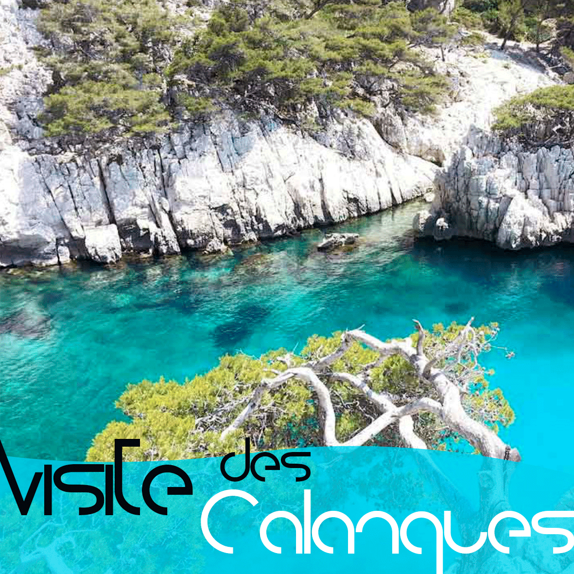 VISITE-DES-CALANQUES-WEB-PHONOMADE.gif