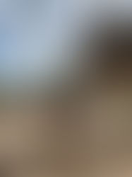 Welke liksteen kan ik het beste kiezen?