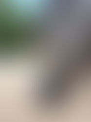 Waarom bijt mijn paard tijdens het zadelen?