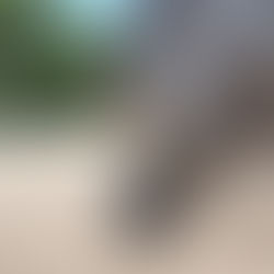 Waarom bijt mijn paard tijdens het zadelen?