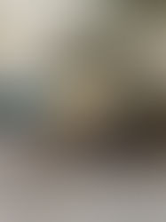 Hoefvet, hoefolie, modderbadjes en droge hoeven