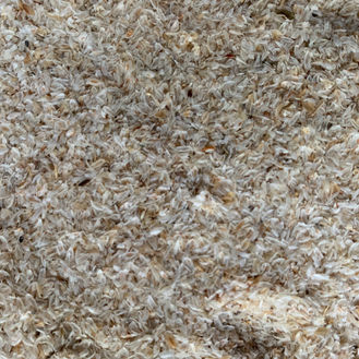 Psyllium, het middel ter preventie van zandkoliek?