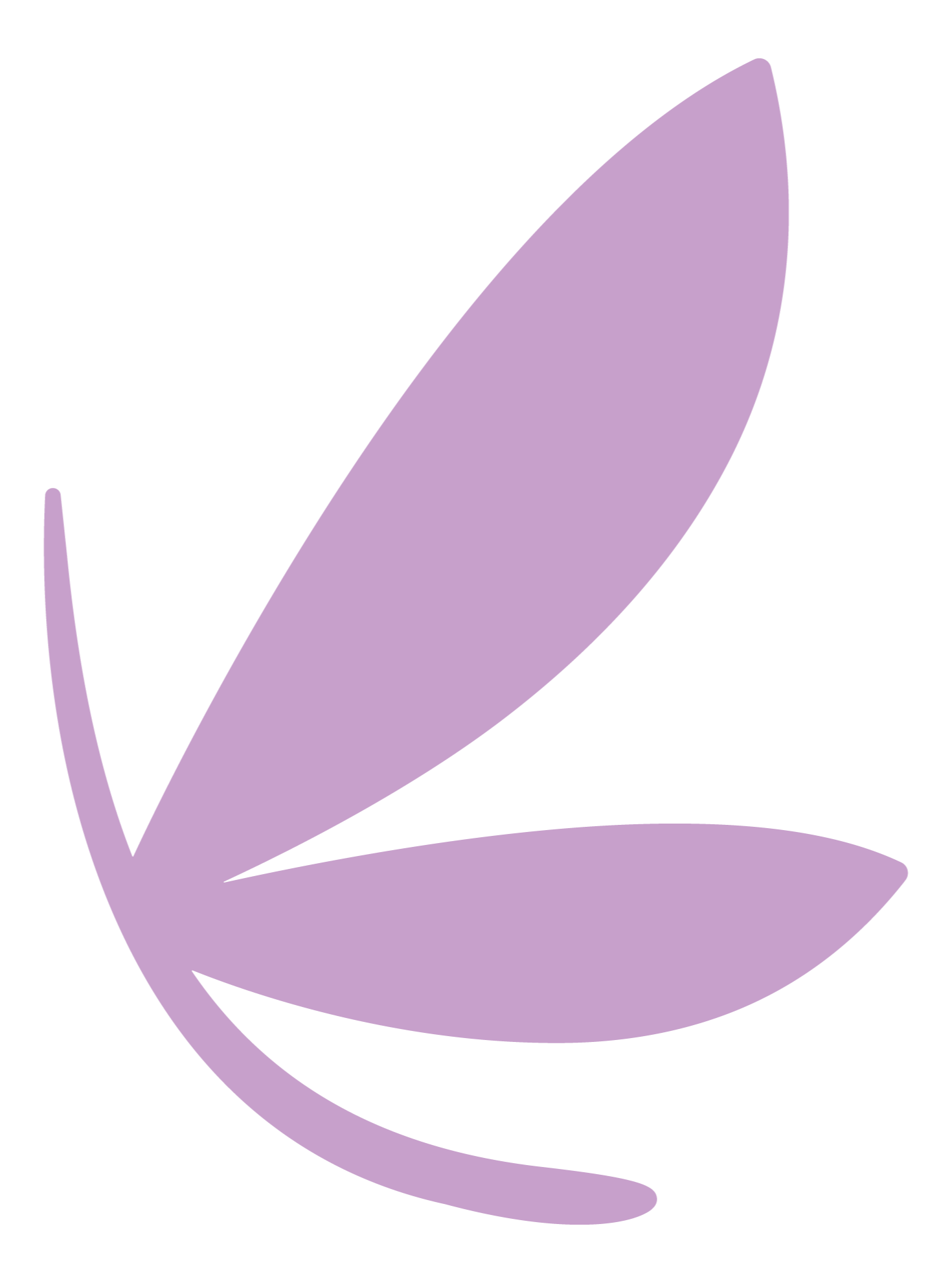 LashBar Fairy Icon