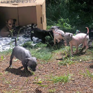 IMG-20220624-WA0027_edited.jpg