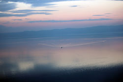 IMG_2987.JPG