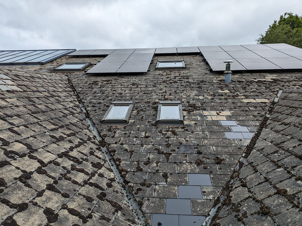 Wonton-under-edge installation.