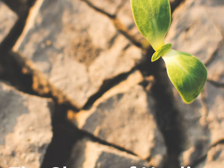 The Shape of Healing: Choosing Myself Through Self-Publishing