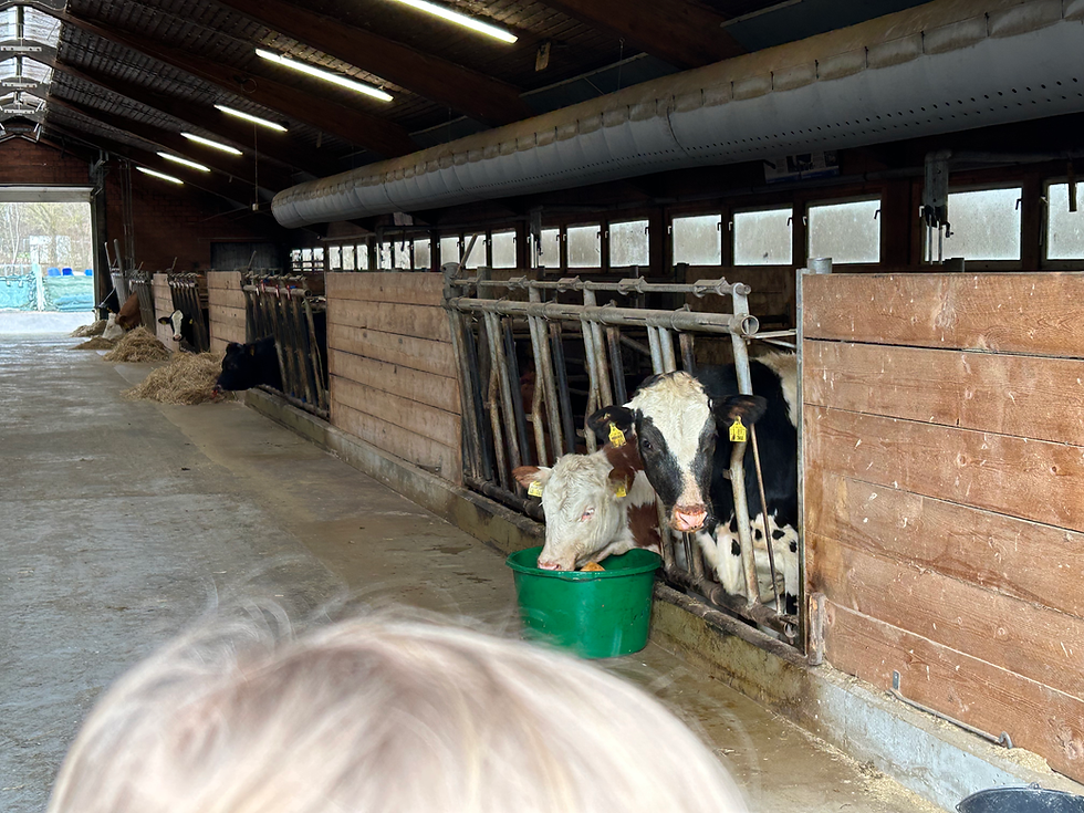 Ein Tag auf dem Bauernhof