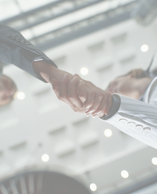 Business Handshake_edited.png