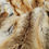 Thumbnail: Plush Long Red Fox Fur Coat with High Contrasts