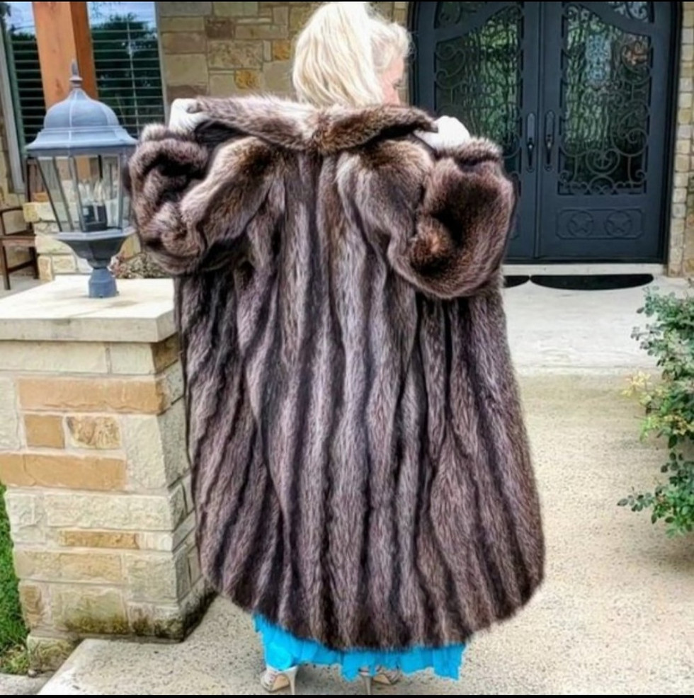 Thumbnail: Full Length Raccoon Fur Coat w/Shawl Collar M-L