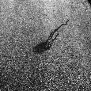 IMG_4396.jpeg