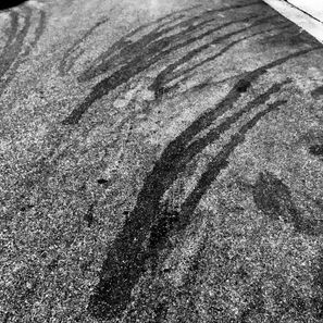 IMG_4404.jpeg