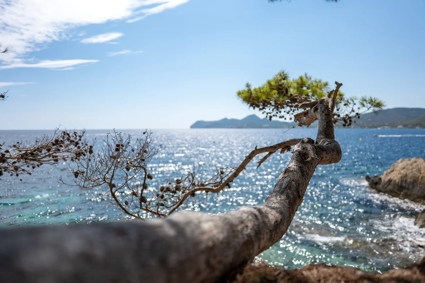 LUMIX S 24mm F1.8