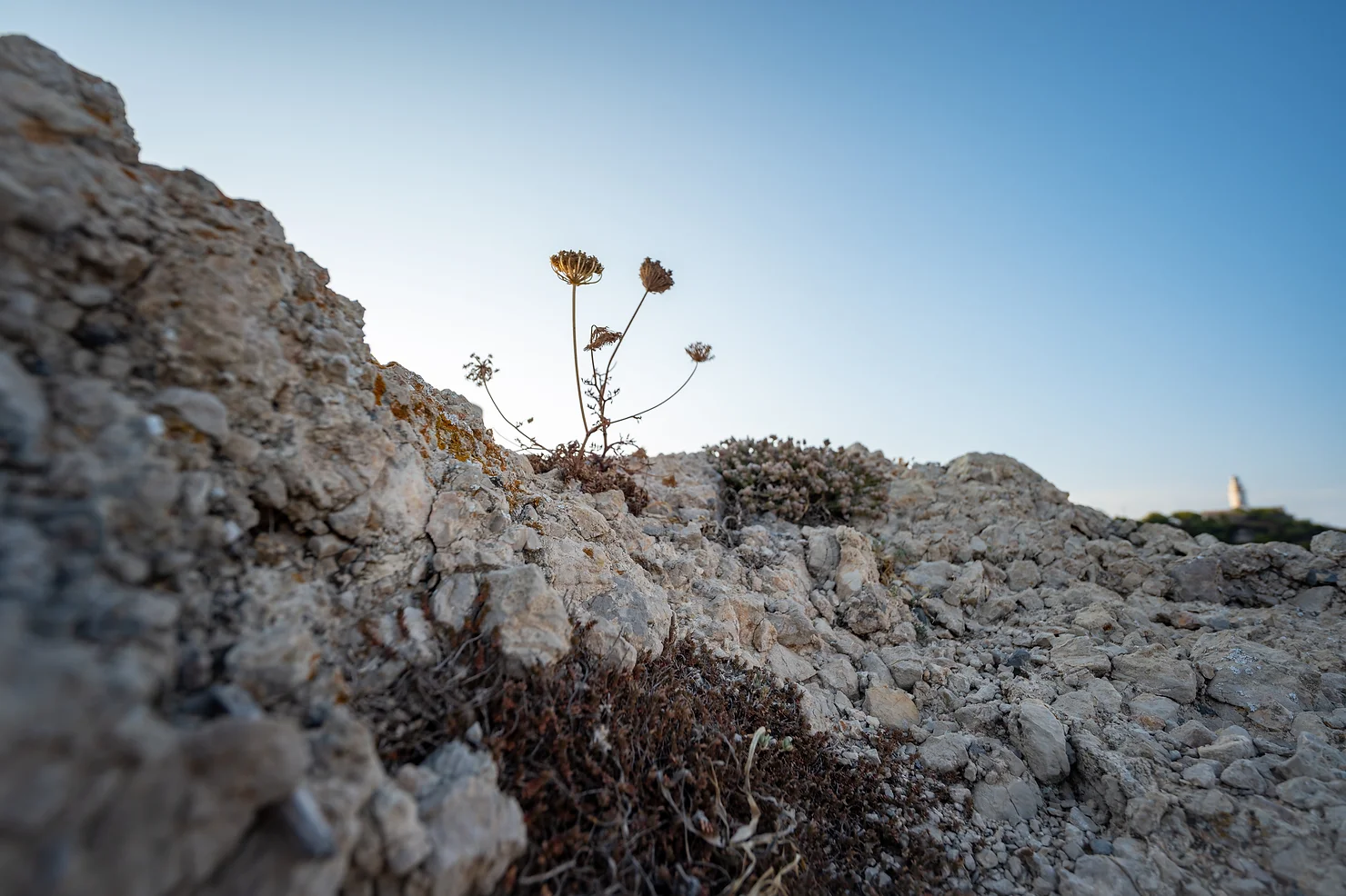 NiSi 15mm f/4 ASPH Chris Kueper