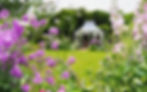 english cottage garden summer flowers