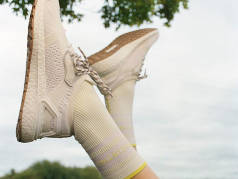 Sustainable sneaker guide