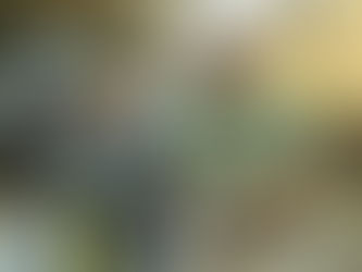 A Groundbreaking 6-Year Partnership to Restore Lake Boeuf