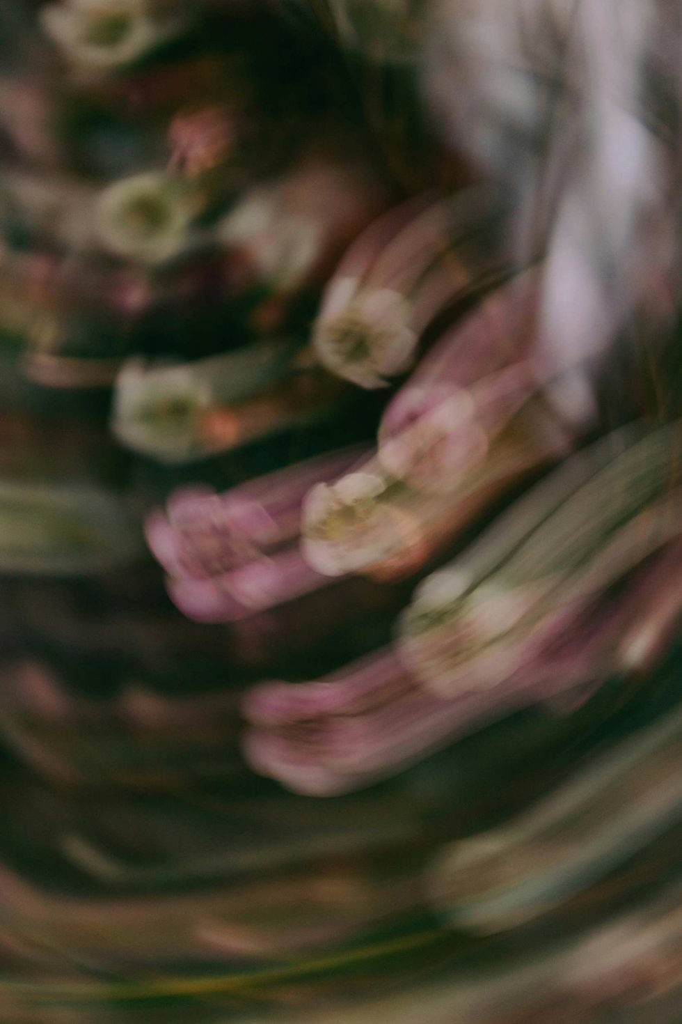 jimmy-whitson-f5vHwmScl24-unsplash2.jpg