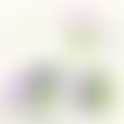 charte graphique sunset service graphisme branding