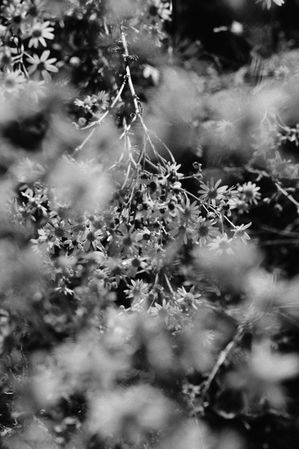 branding identité visuelle épicerie deli shop restaurant design studio de création merchandising packaging  conception web