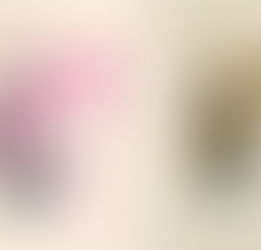 Quelle est la différence entre police et typographie?