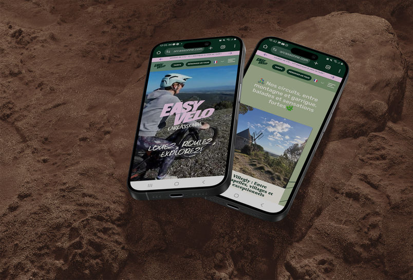 Identité visuelle / Conception web