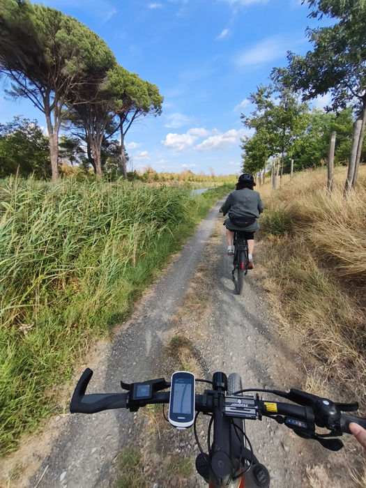 location vélo électrique musculaire carcassonne ballade itinérance