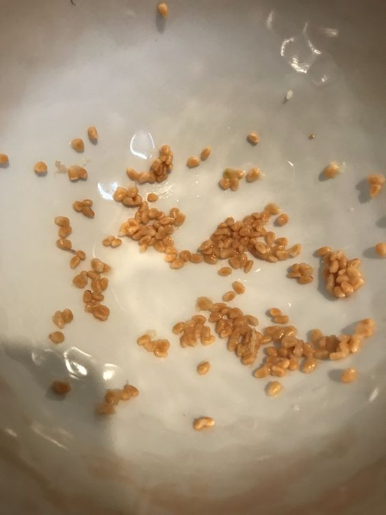 lemon Guava seeds o guayaba seeds,