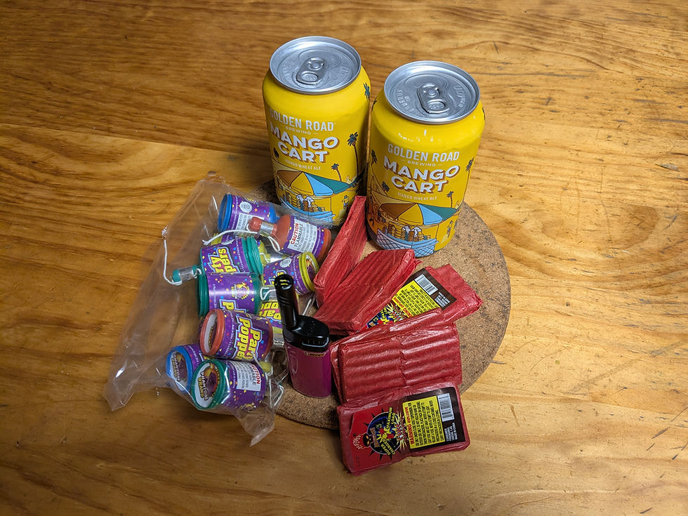 Beer, check. Lighter, check. Explosives, check. Things to blow up in people's faces, check. I'm ready.