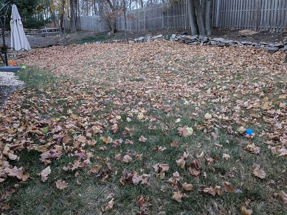 I Dig Fall The Fall