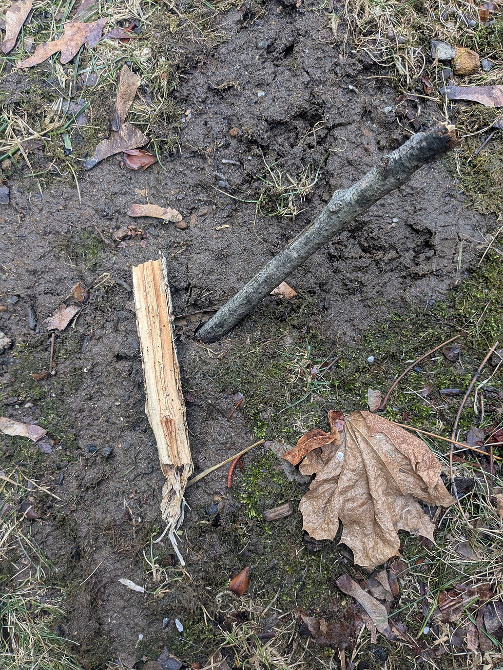 Hey, that looks like Mitch McConnell!