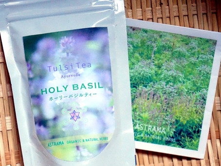 【トゥルシー茶】今年も入荷しました♪