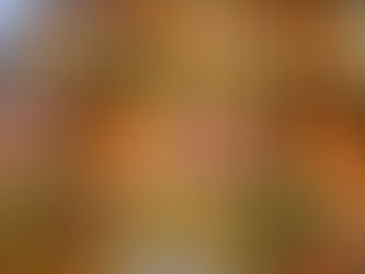 🎍11/18ご予約開始🎍グルテンフリー自然派おせち🍱