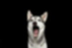 AdobeStock_140423330_Preview.jpeg