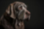 AdobeStock_563690851_Preview.jpeg