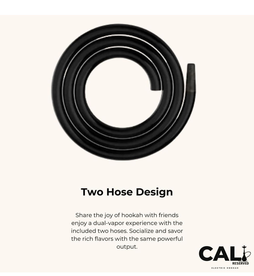 Thumbnail: PLOOX YOUR PORTABLE HOOKAH NEST DUAL HOSES  