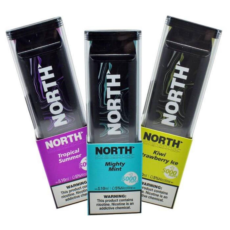 NORTH Disposable Vape - 5000